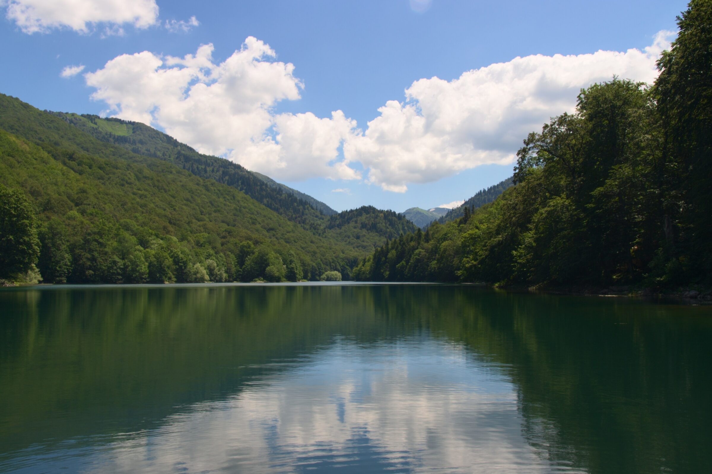 Biogradsko jezero surrounded by forest